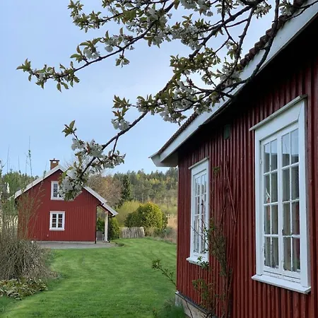 Morellgarden * Larvik