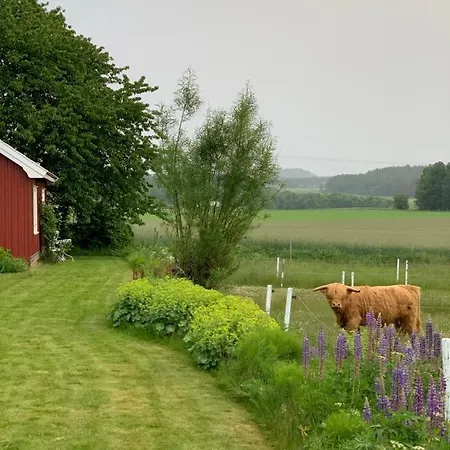 Morellgarden *